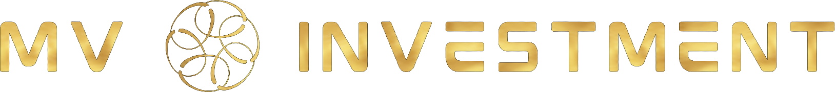 MV Investment